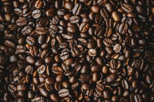 Где и как выращивают кофе